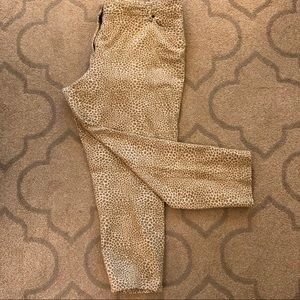 Multiples Leopard Print Jeans